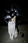 Аватар продавца Ник наоборот