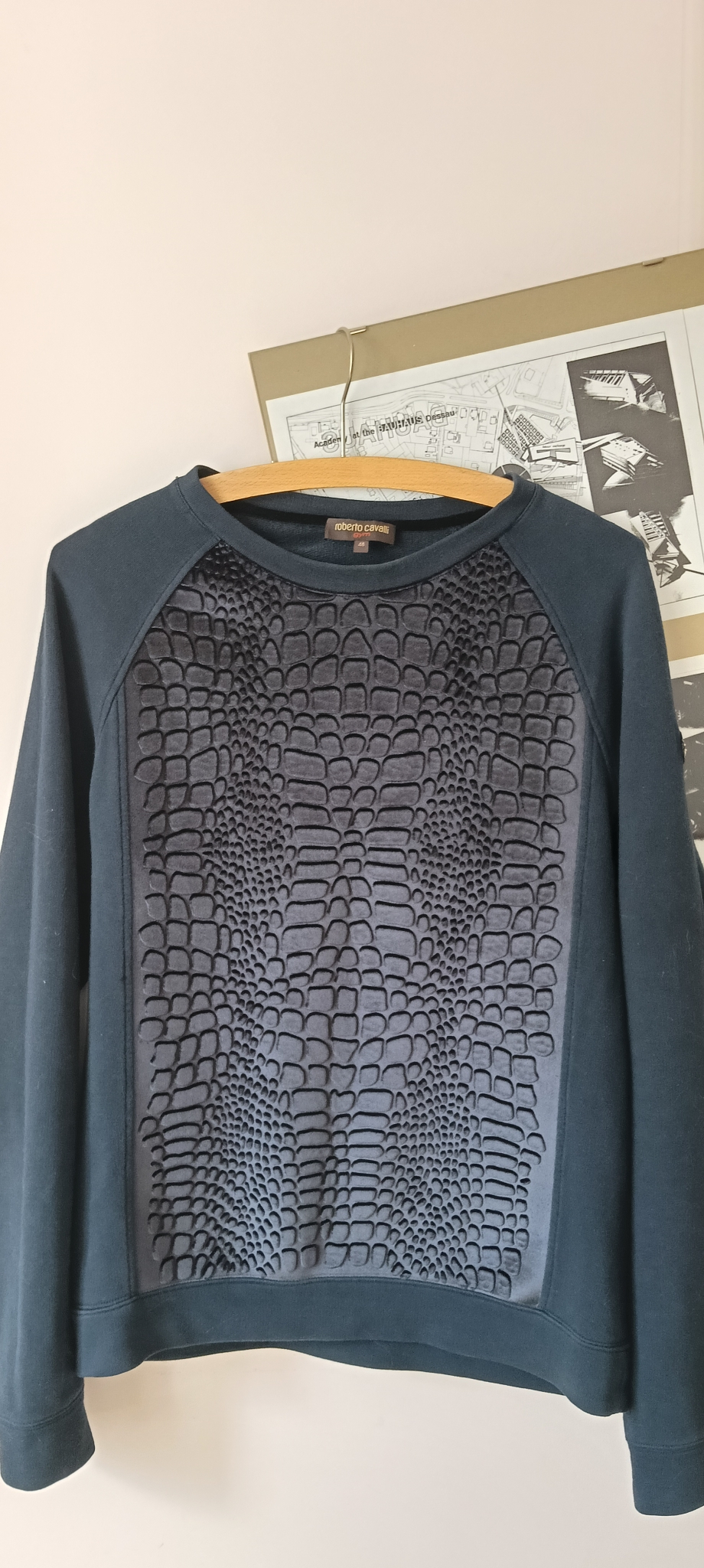 Roberto Cavalli Sweatshirt, миниатюра 1
