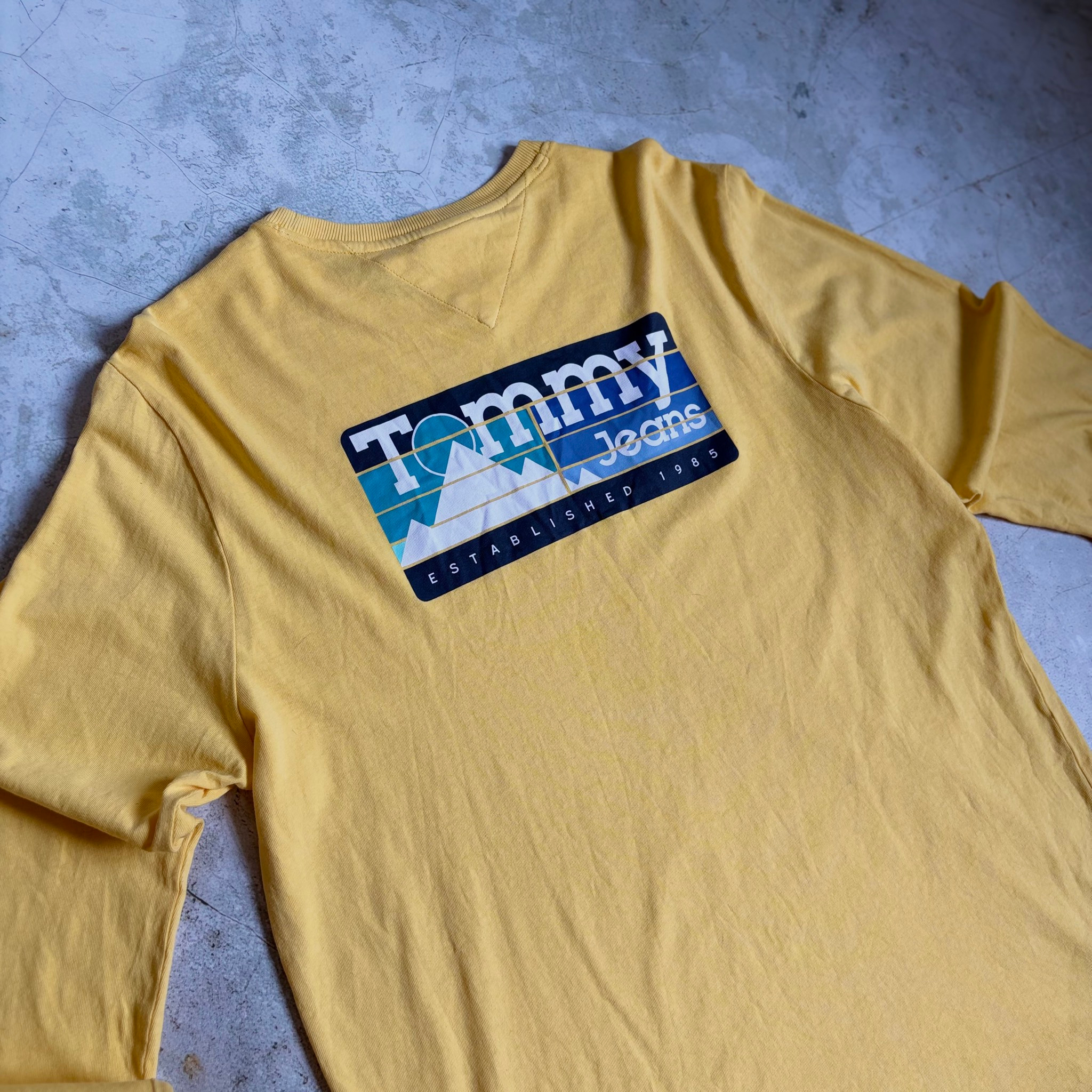 Tommy Jeans TJM Back Mountain long, миниатюра 4