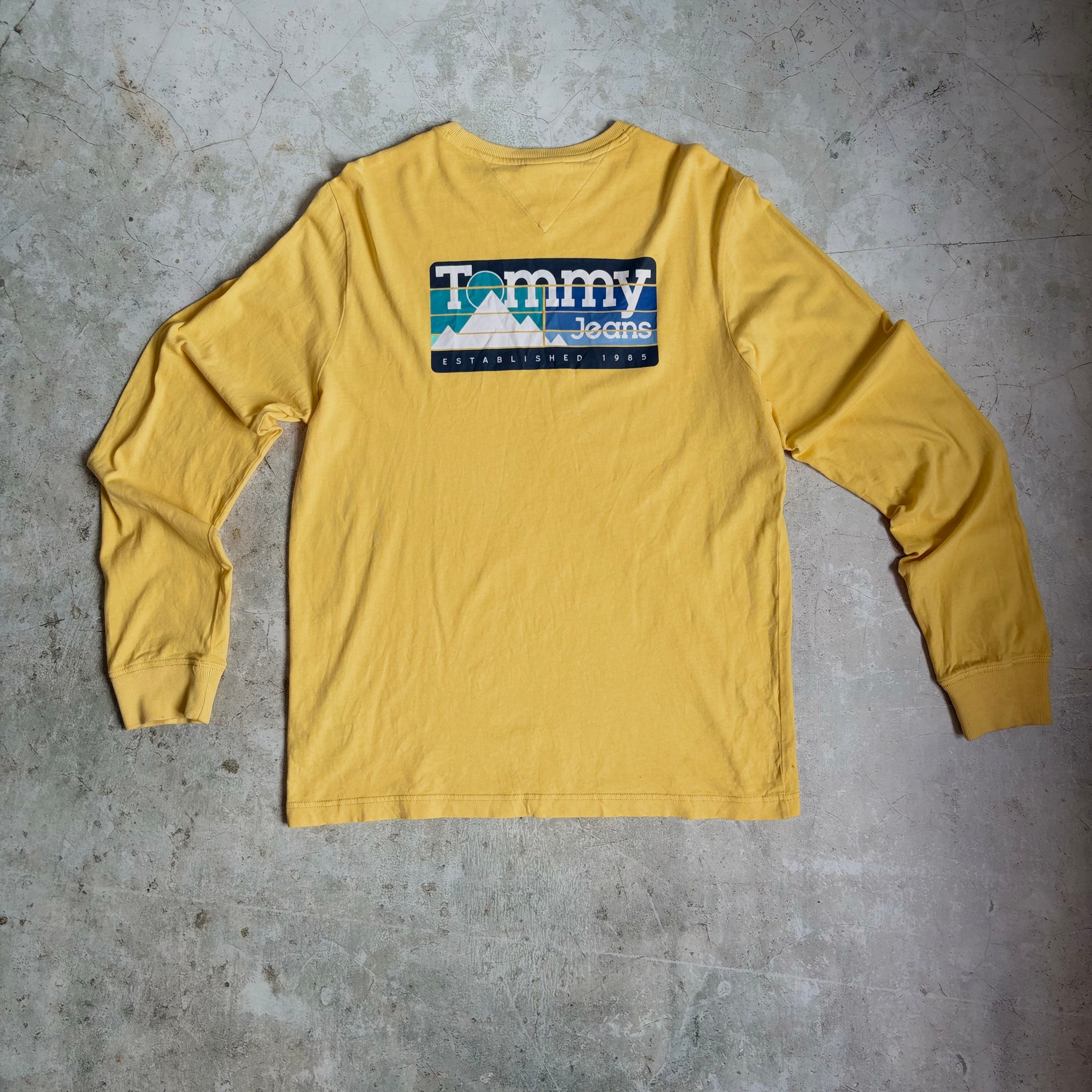 Tommy Jeans TJM Back Mountain long, миниатюра 3