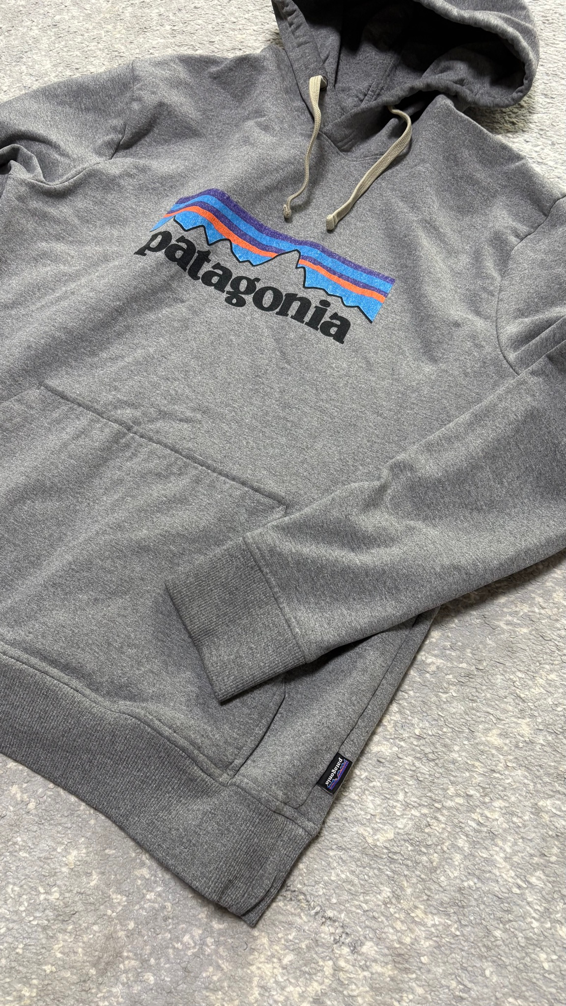 Patagonia Худи big logo, миниатюра 3