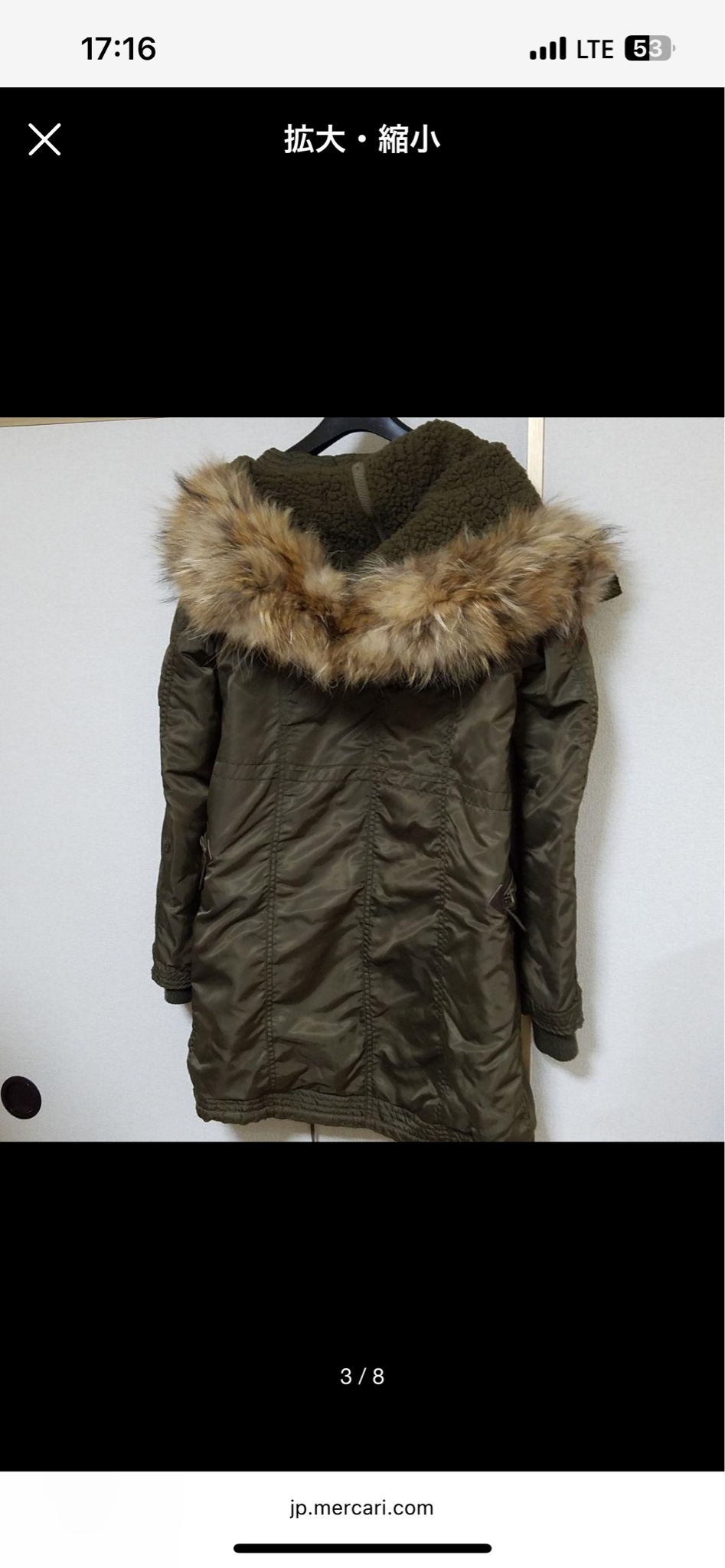 Goa parka Парка, миниатюра 2