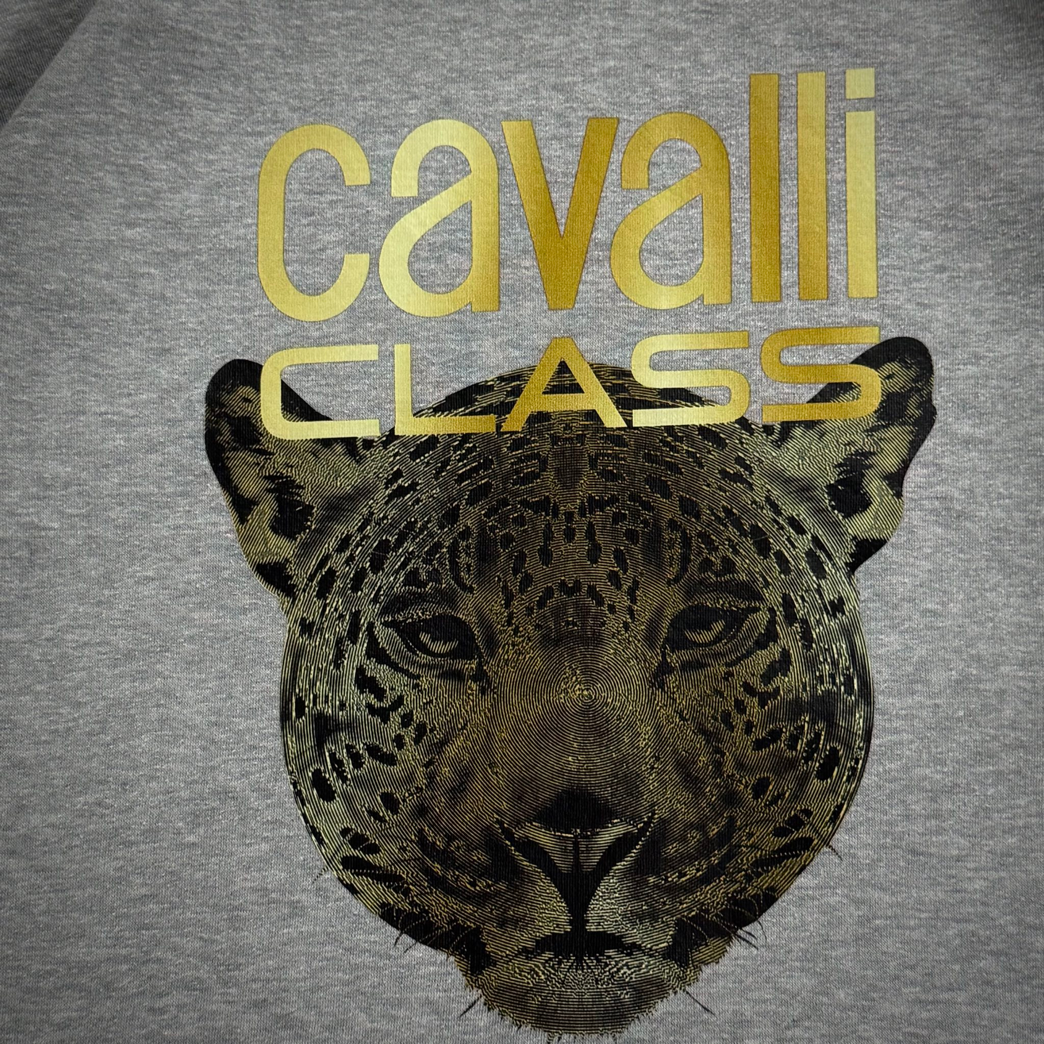 Cavalli Class Sweatshirt, миниатюра 5