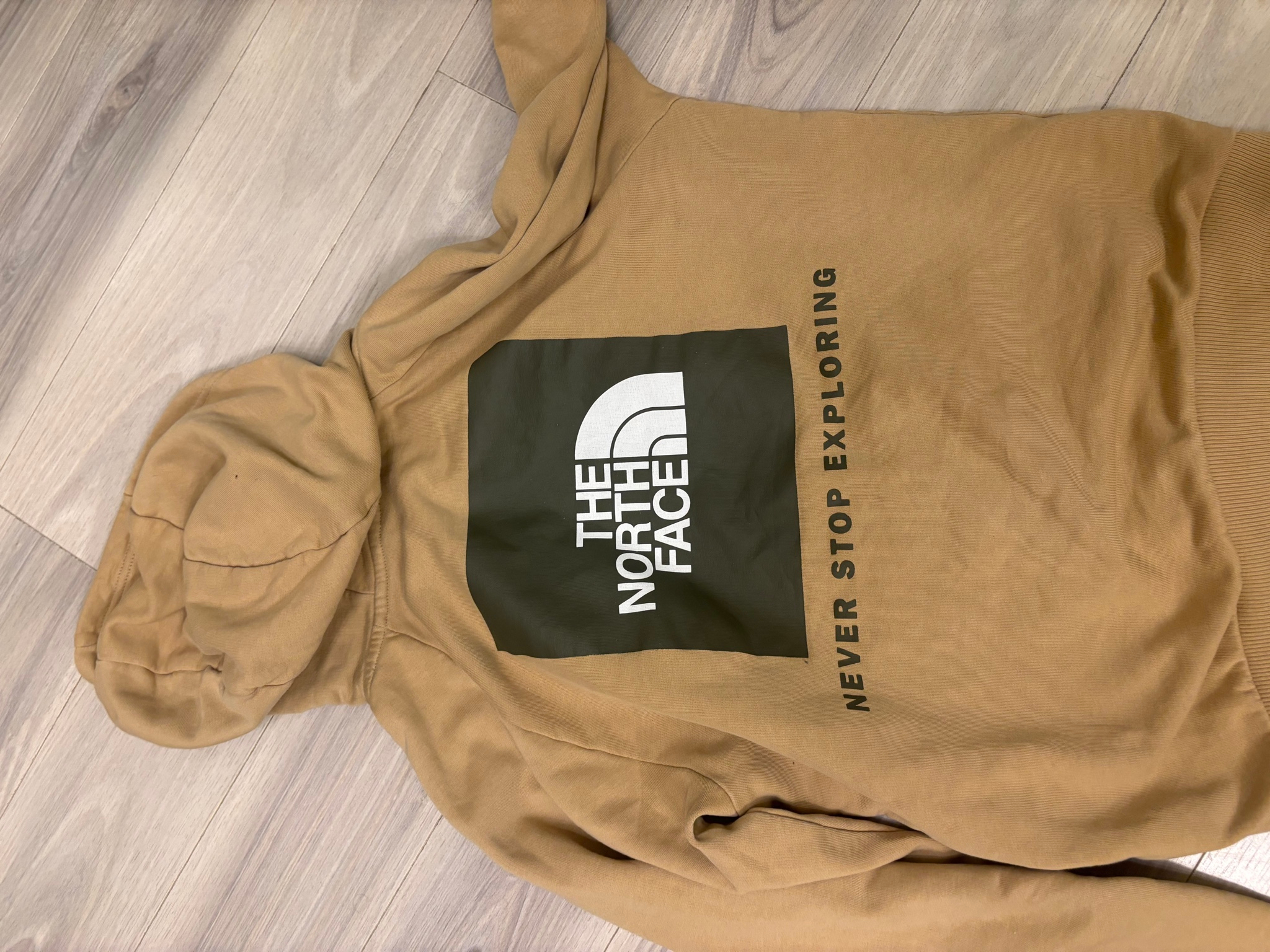 The North Face Худи, миниатюра 2