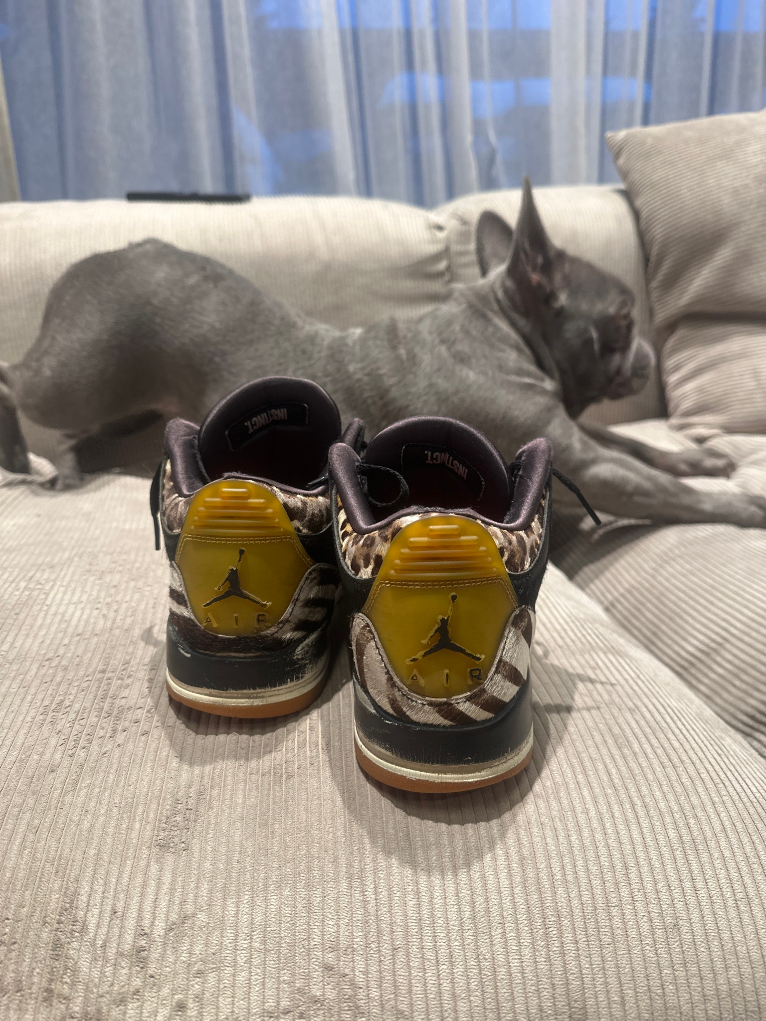 Air Jordan  Animal Instinct, миниатюра 2