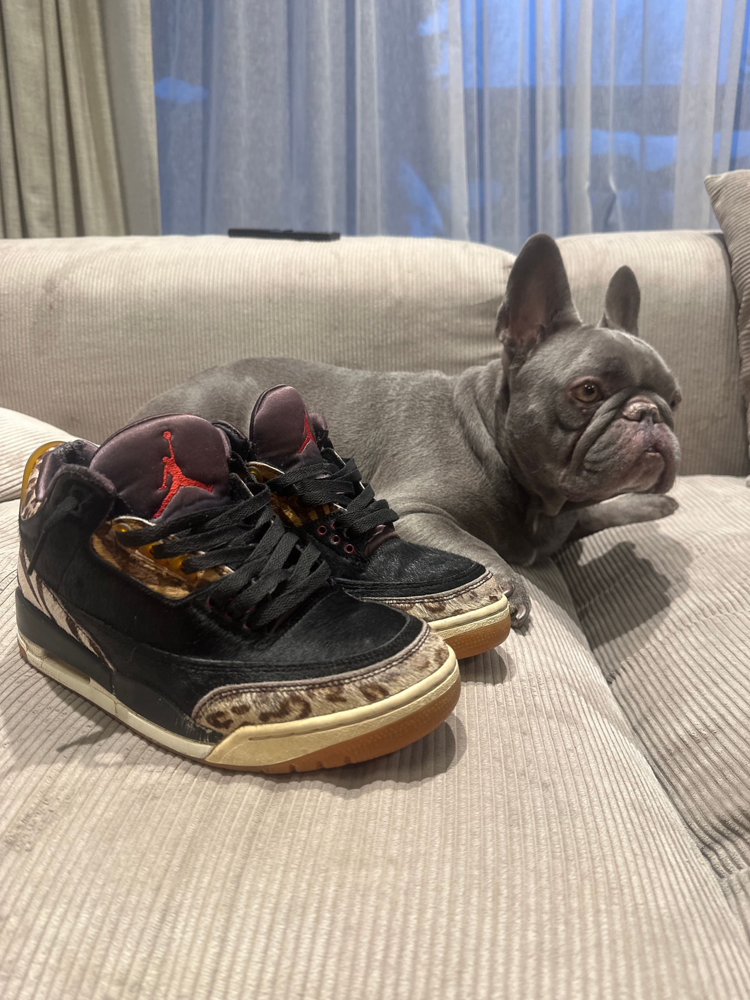 Air Jordan  Animal Instinct, миниатюра 1