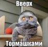 Аватар продавца данил