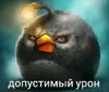 Аватар продавца AZBYYKA