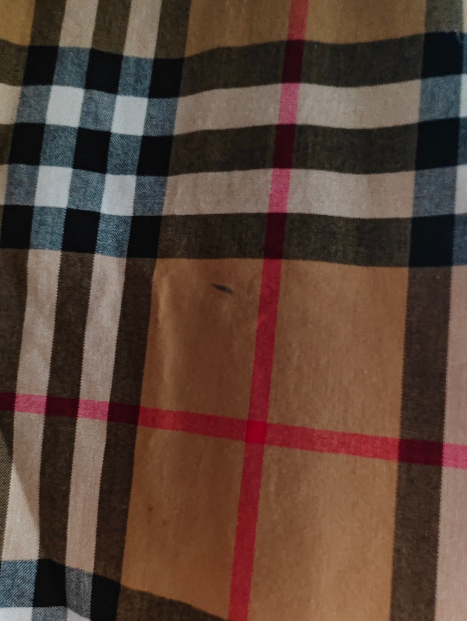 Burberry Рубашка, миниатюра 10