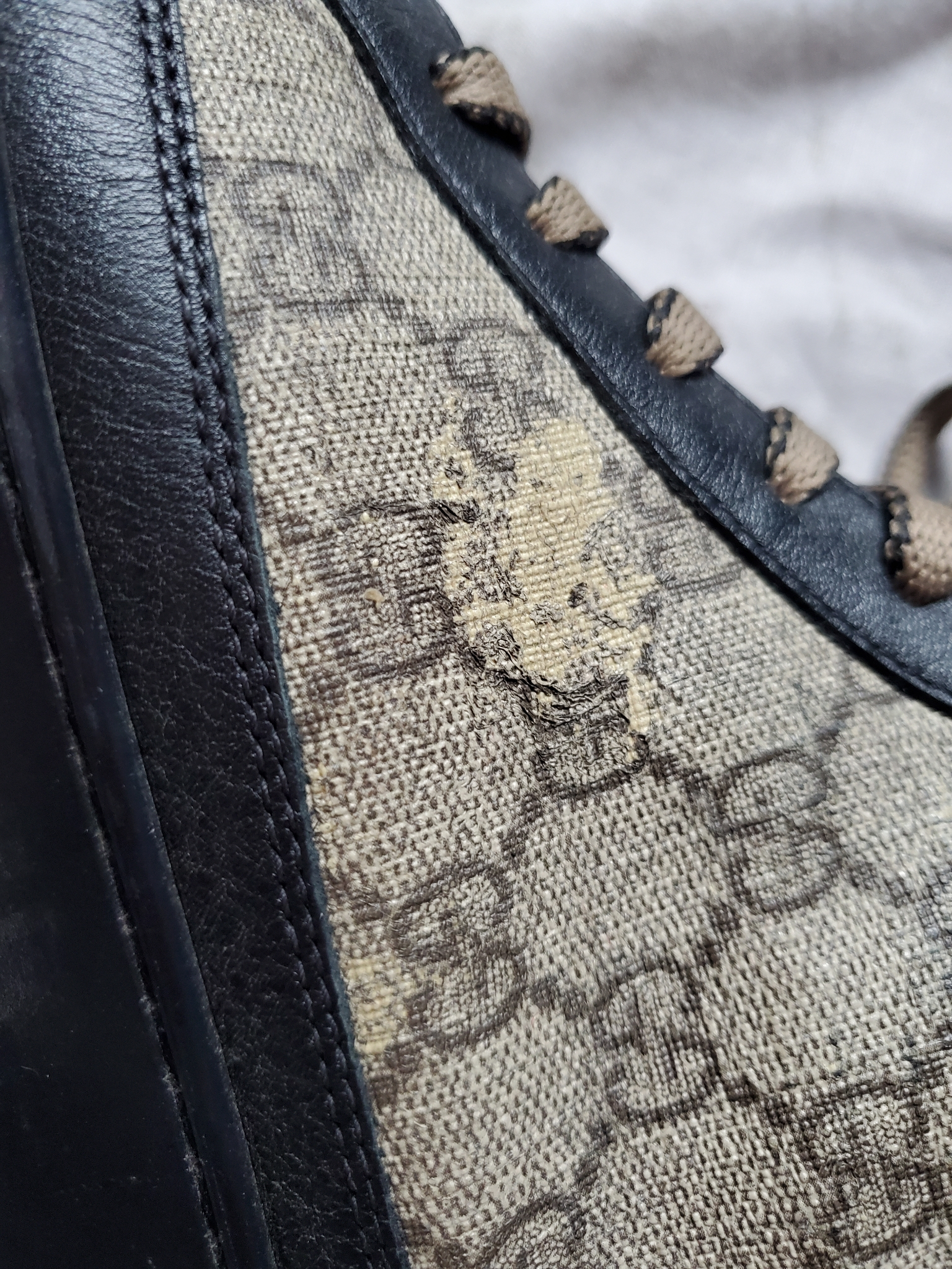 Gucci Кеды, миниатюра 13