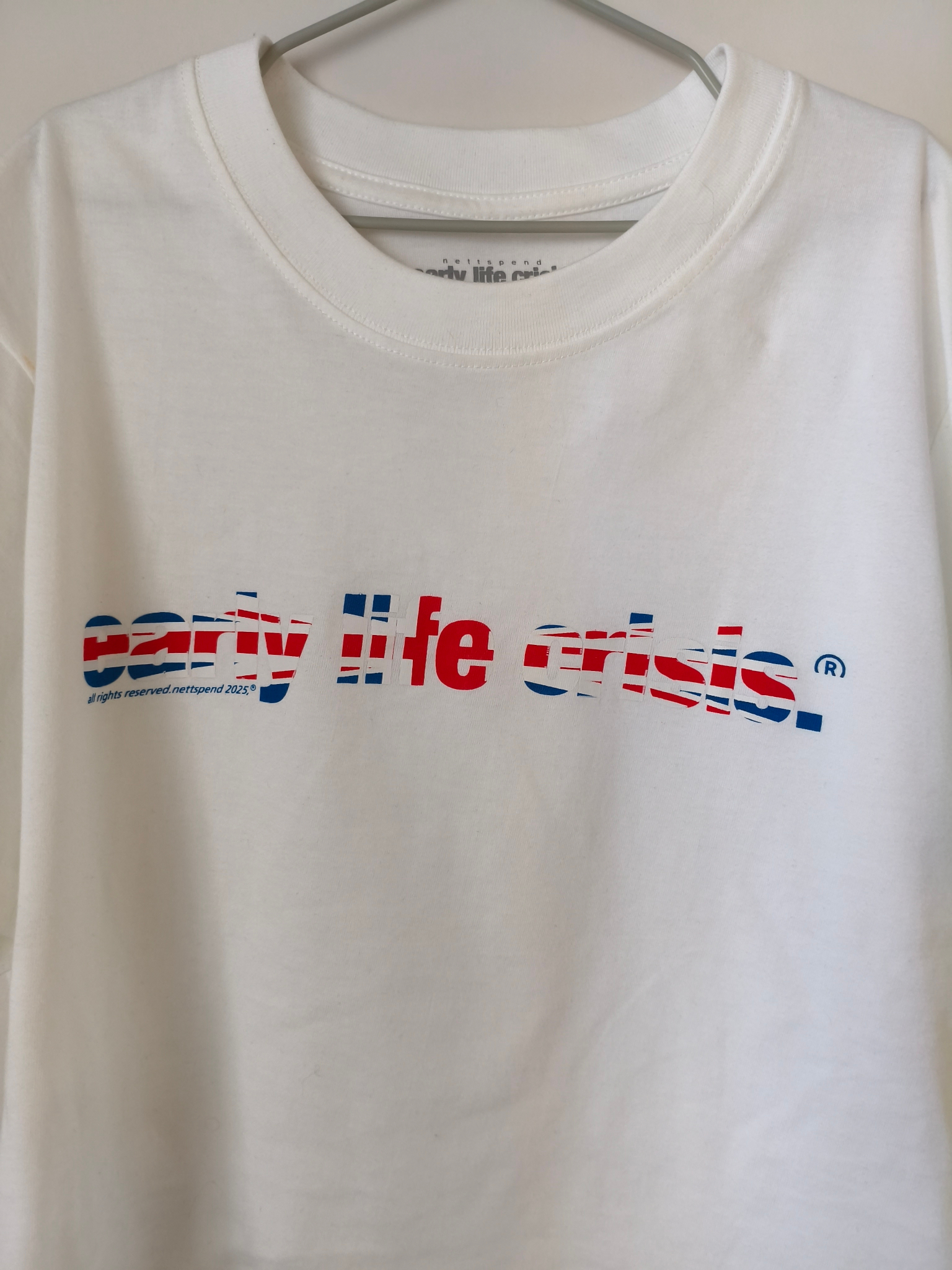 Nettspend  Early Life Crisis, миниатюра 4