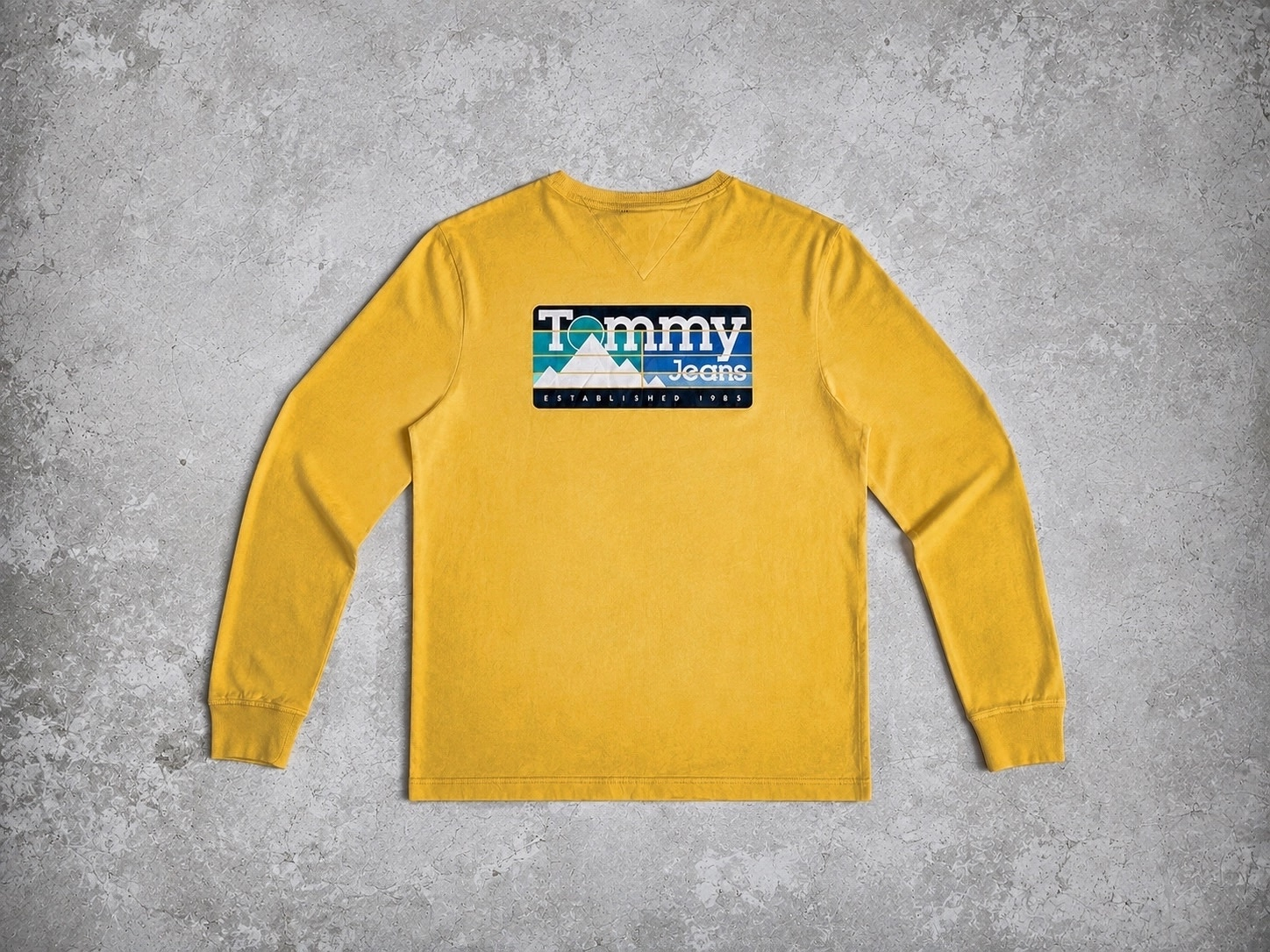 Tommy Jeans TJM Back Mountain long, миниатюра 1