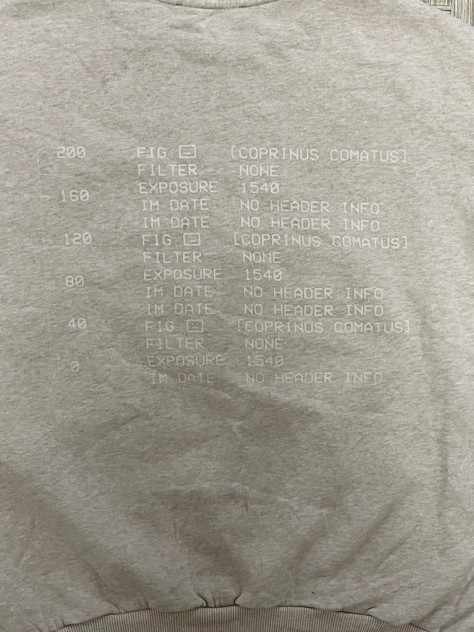 Acne Studios X-ray mashrooms, миниатюра 5